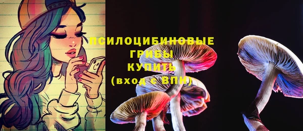 сатива Алексеевка