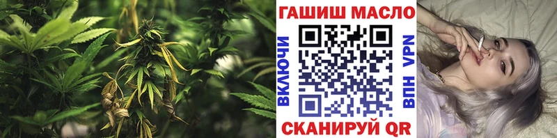 MEGA онион  наркота  площадка наркотические препараты  Дистиллят ТГК THC oil  Георгиевск 
