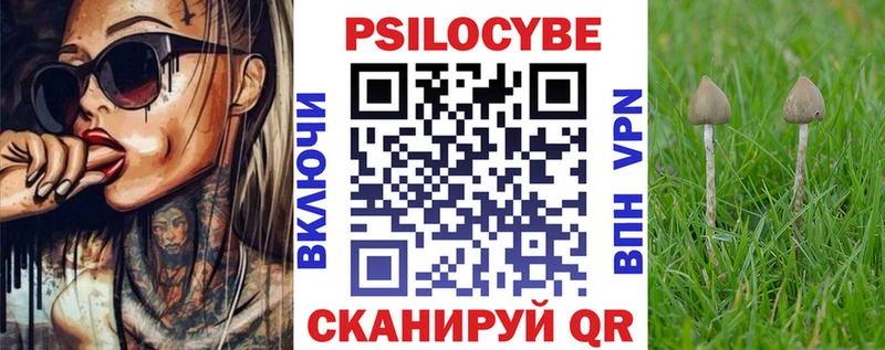 наркошоп  Георгиевск  Галлюциногенные грибы Psilocybine cubensis 