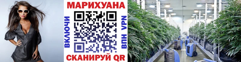 Конопля LSD WEED  Георгиевск 